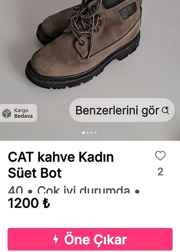 Cat Kahverengi Kadin Suet Bot