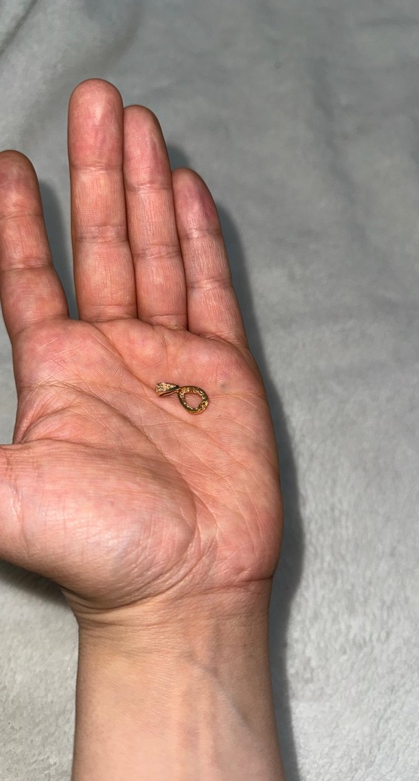 Taşlı Kolye ucu - Görsel 2