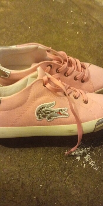37 Beden Lacoste