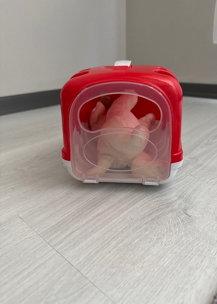 Çantalı ve kemikli köpekçik - Görsel 3