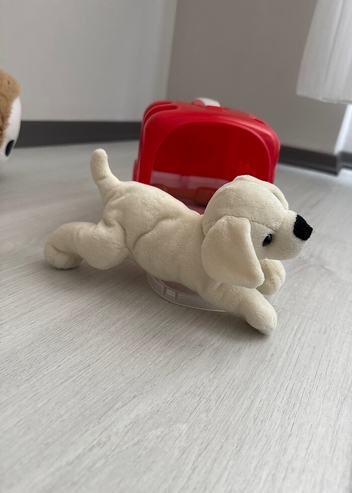 Çantalı ve kemikli köpekçik - Görsel 2