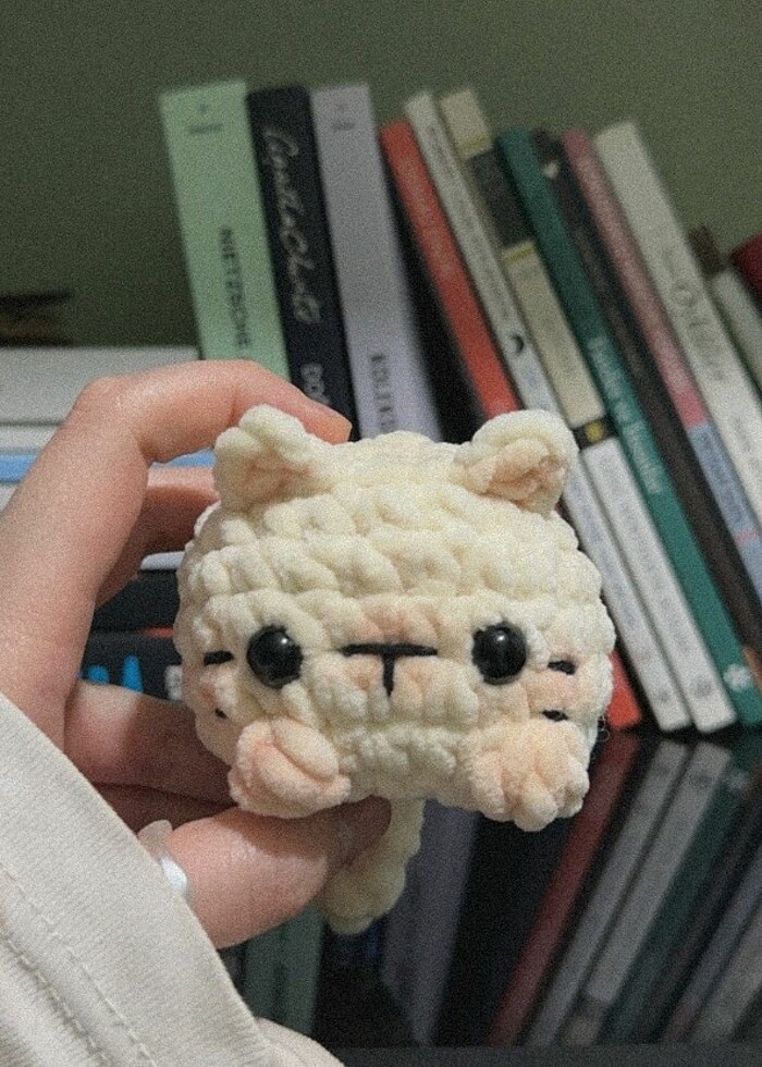 baby puffy cats - Görsel 4