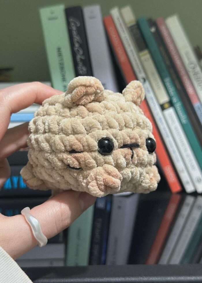 baby puffy cats - Görsel 3