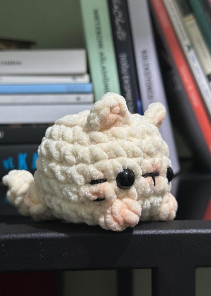 baby puffy cats - Görsel 5