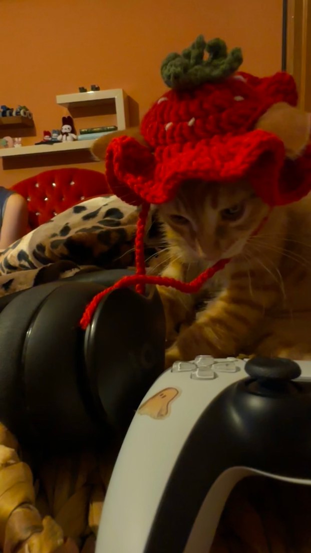 CİLEKLİ ORGU KEDY SAPKASII - Görsel 2