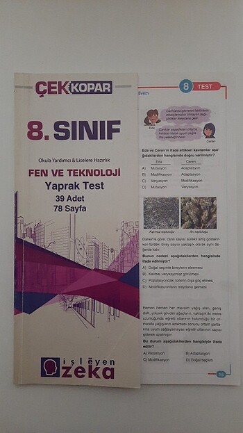 8.sinif fen işleyen zeka çek kopar test