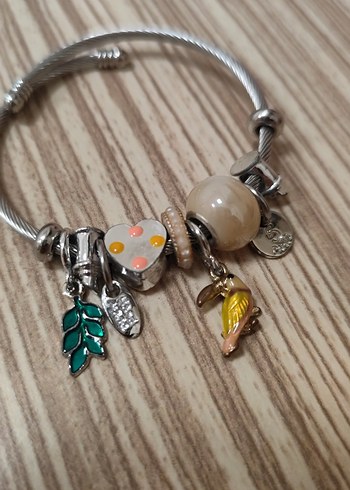 Sacha Çelik Charm Kadın Bileklik - Görsel 3