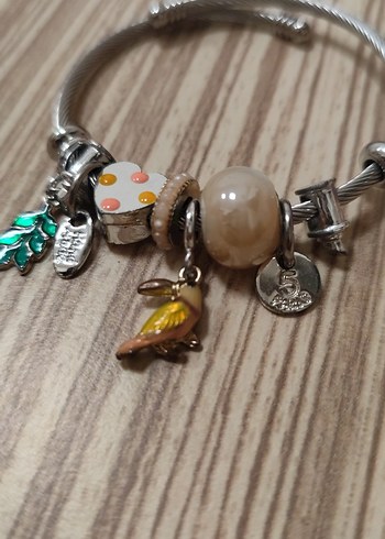 Sacha Çelik Charm Kadın Bileklik - Görsel 4