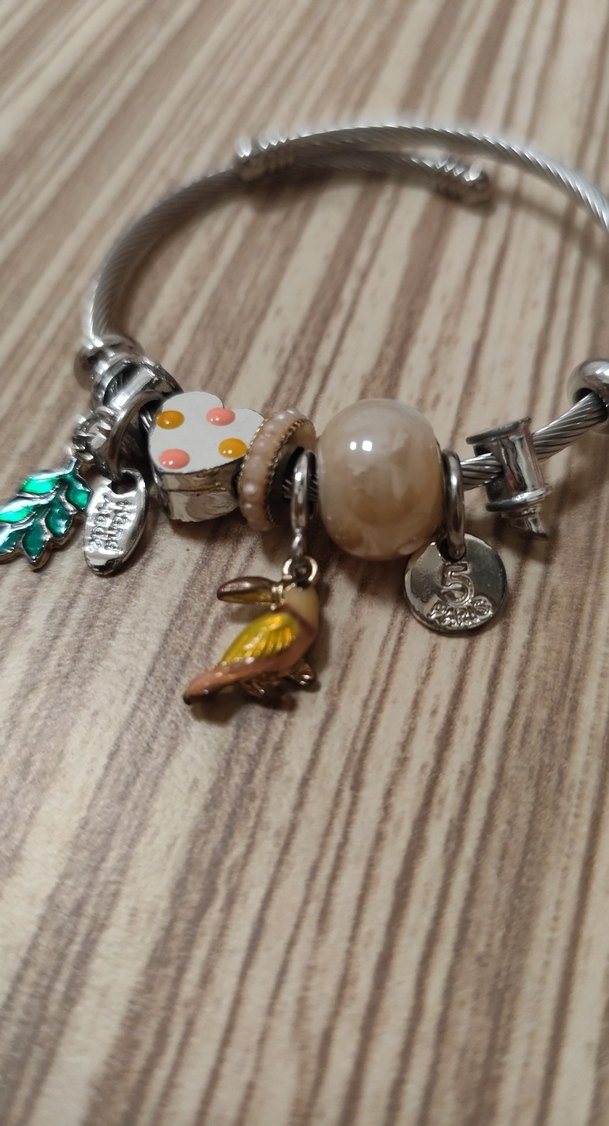 Sacha Çelik Charm Kadın Bileklik - Görsel 4