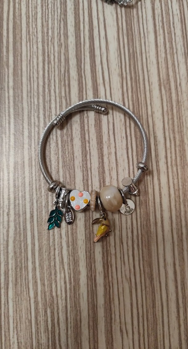 Sacha Çelik Charm Kadın Bileklik - Görsel 2