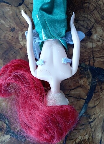Beden Disney the little mermaid
