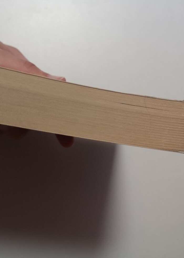 Ademin kanadı yasemin karahüseyin  - Görsel 2