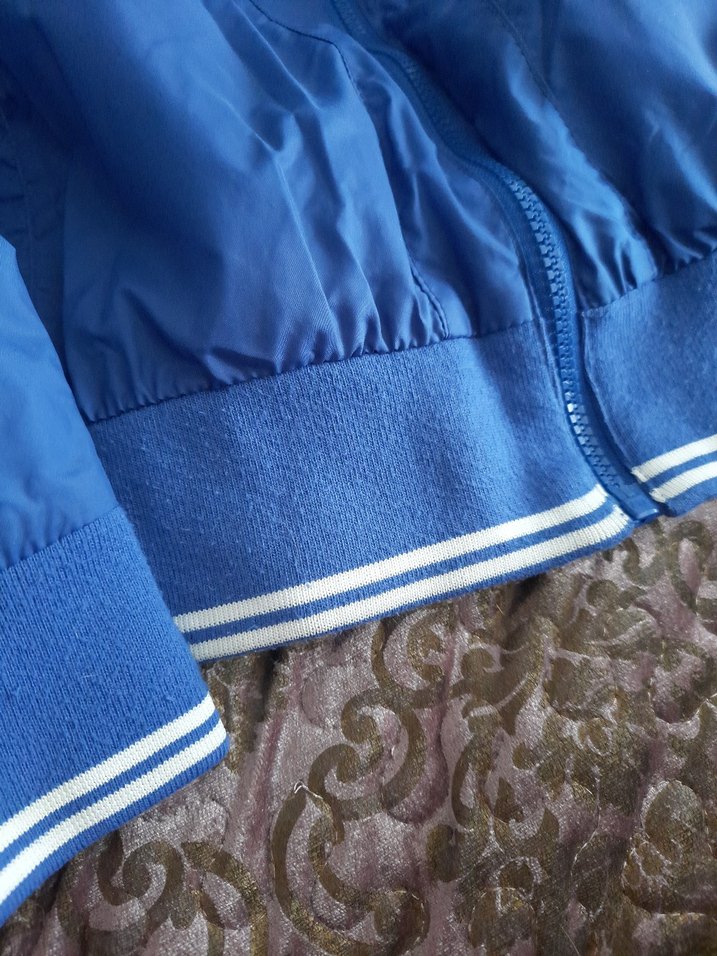 Mavi Erkek Spor Rüzgarlık Fermuarlı - Görsel 4