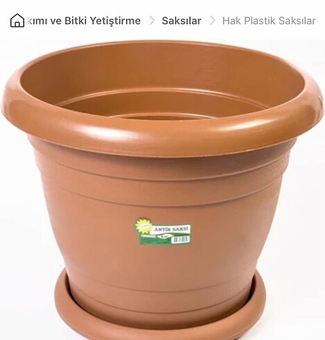Büyük saksı