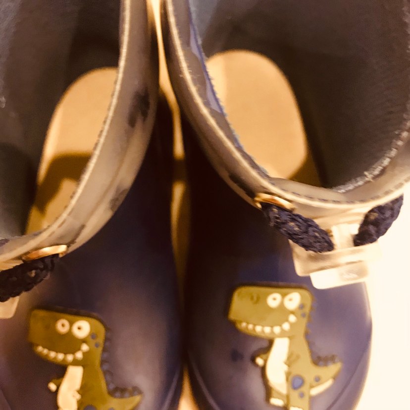 İgor Dinozor Detaylı Yağmurluk Çizme - Görsel 2