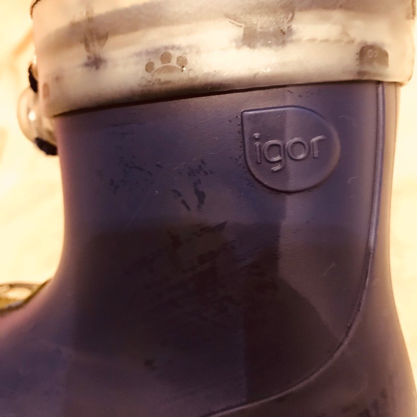 İgor Dinozor Detaylı Yağmurluk Çizme - Görsel 3