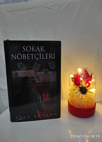  Aslı ARSLAN Sokak Nöbetçilefi 1-2