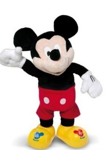 Walt Disney World Mickey mouse