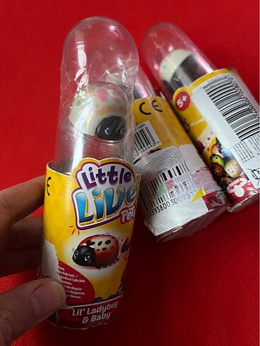  Beden Little live pets