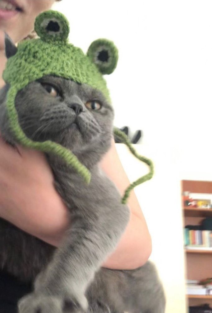 crochet kedi şapkası - Görsel 3