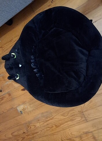 Kedi yatagı