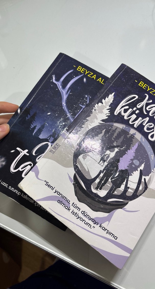 Beyza Alkoç'un Kar Küresi ve Kar Tanesi Romanı Seti - Görsel 5