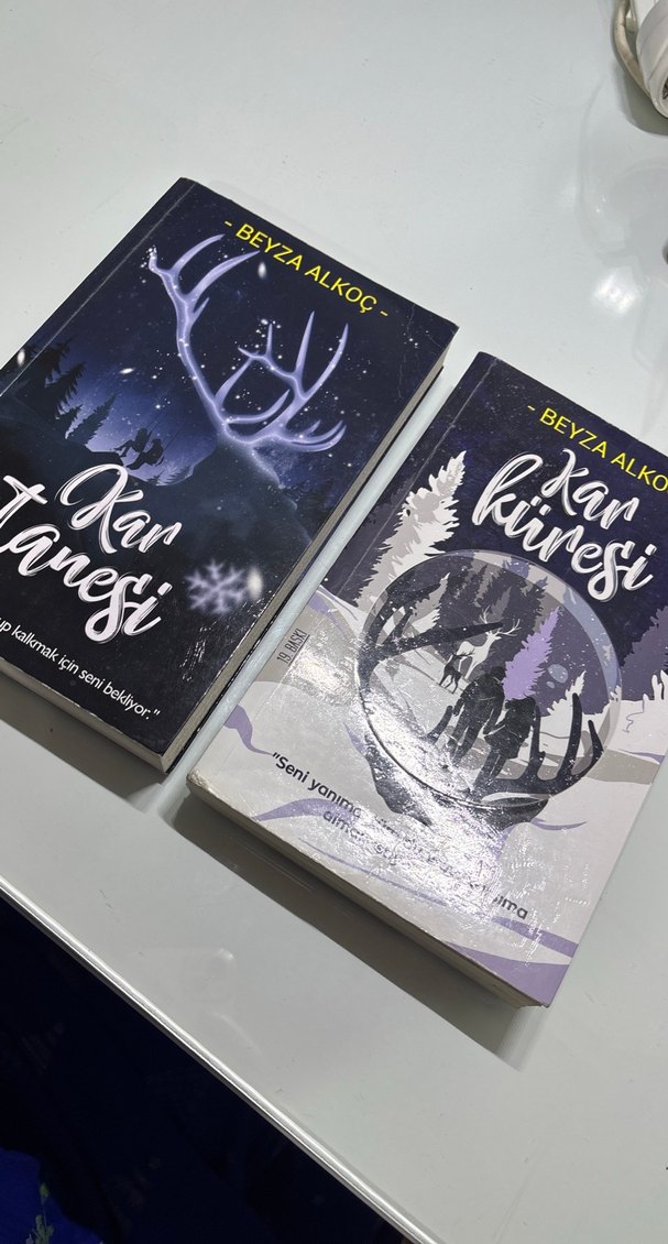 Beyza Alkoç'un Kar Küresi ve Kar Tanesi Romanı Seti - Görsel 2