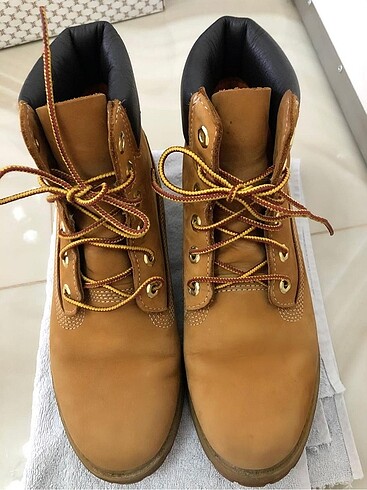 Timberland Bot