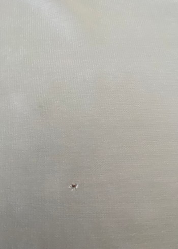 Tüm zerafeti ile Maraş filesi örtü - Görsel 5