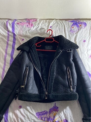 Stradivarius Mont