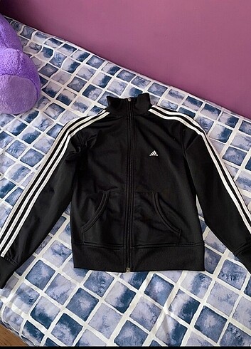 Adidas ceket 