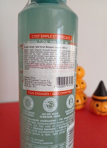  Beden Renk Pure calendula
