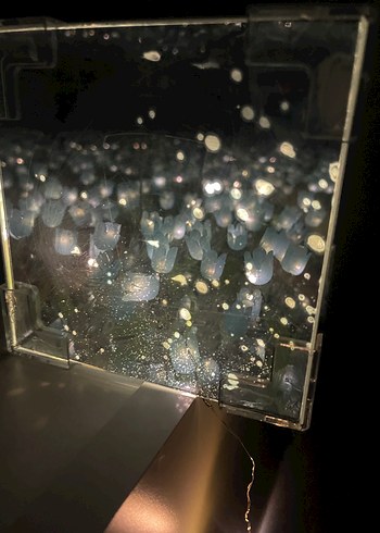 Sevgililer günü hediyesi sonsuz lale - Görsel 2