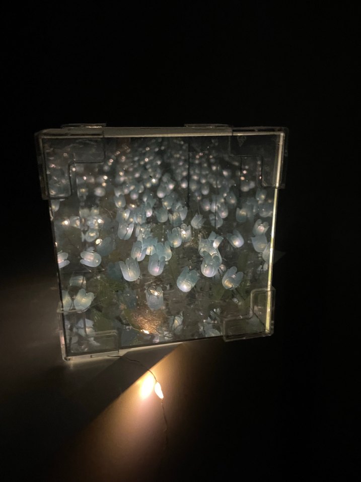 Sevgililer günü hediyesi sonsuz lale - Görsel 3