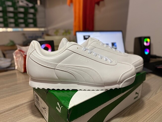 Puma roma