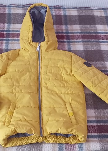 Limon Company 4 Yaş