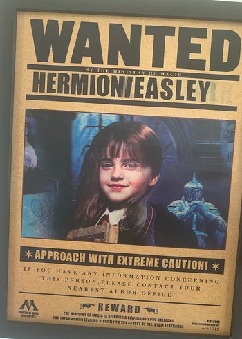 Beden çeşitli Renk Hermione Granger Harry ve Ron 3D tablo