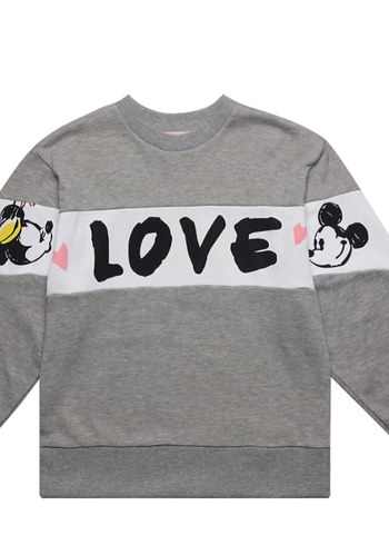 walt-disney-world s