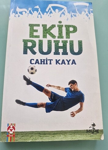 Ekip Ruhu