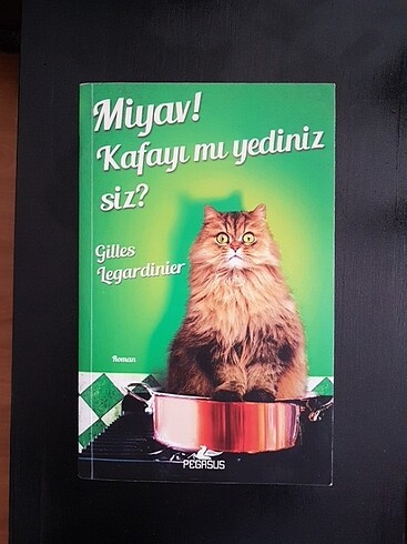 Gilles Legardinier Miyav! Kafayı mı yediniz siz?