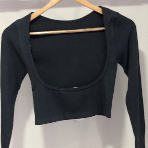 Stradivarius stradivarius crop
