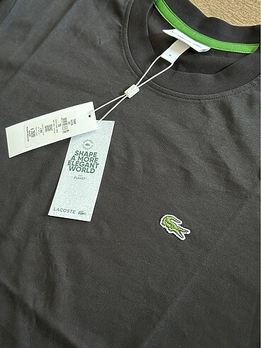 Lacoste Orijinal Lacoste T-Shirt