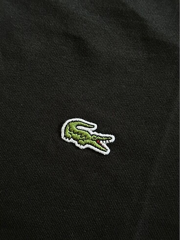 s/m Beden Orijinal Lacoste T-Shirt