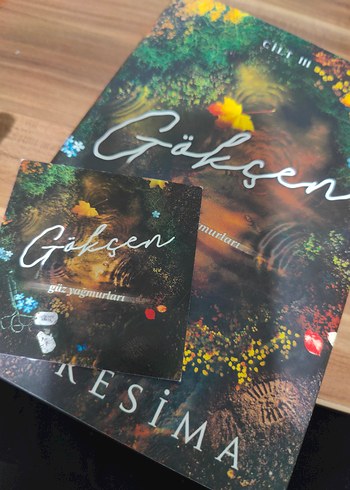  Beden Renk Gökçen3 - Loresima