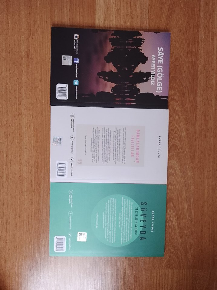 Sessizliğin Şarkısı", "Damla Fısıltılarından" ve "Saygın (Gölge) - Görsel 2