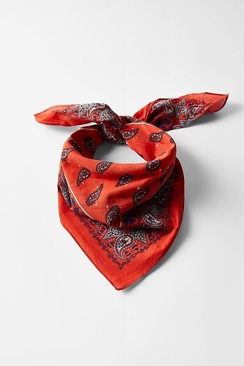 Dscarf fular bandana