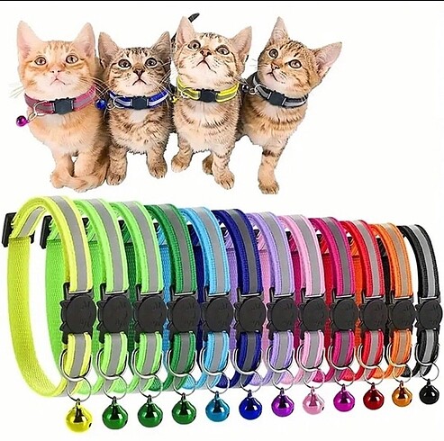 Kedi köpek boyun tasması