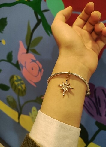 Parıldayan kuzey yıldızı charm