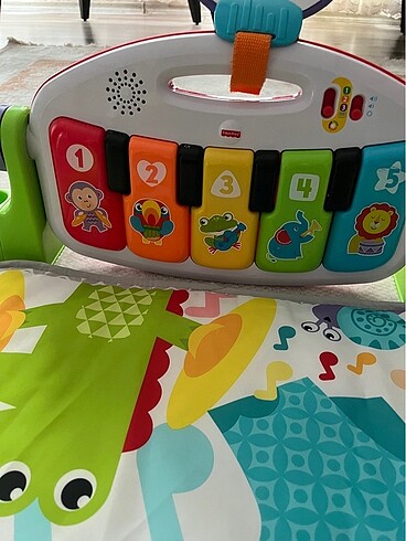  Beden Renk Fisher price oyun halısı