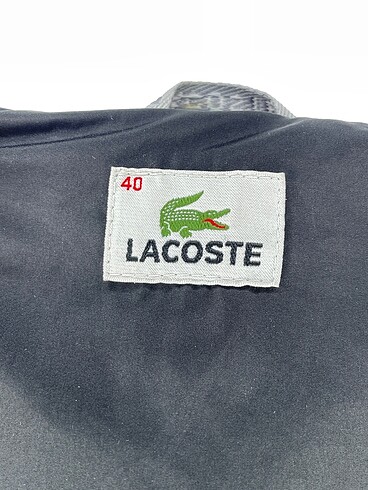40 Beden siyah Renk Lacoste Mont %70 İndirimli.